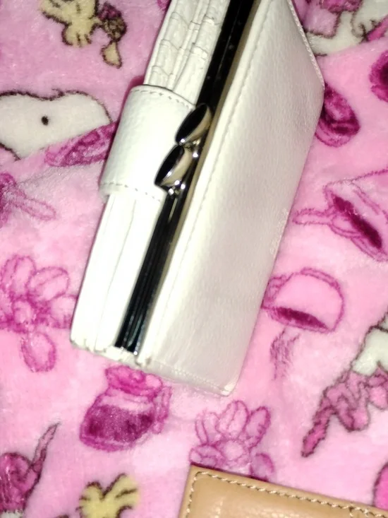 Cream Leather Women's Wallet with Silver Logo Accent - Picture 5 of 5